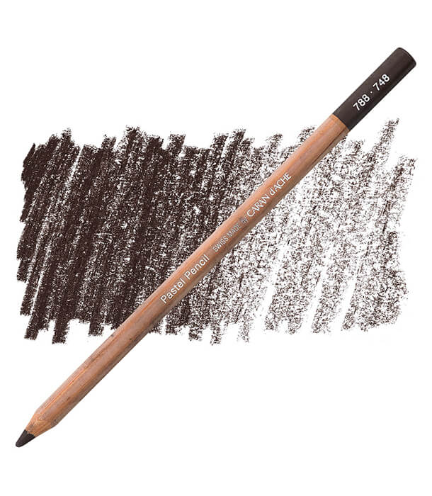 Карандаш Caran D'ache Pastel Pencil 748 Warm Earth 70% (Dark Flesh)