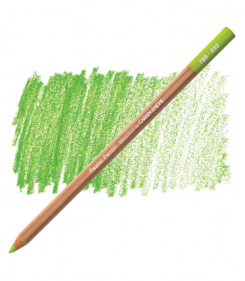 Карандаш Caran D'ache Pastel Pencil 232 Mid Moss Green 10%