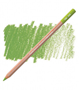 Карандаш Caran D'ache Pastel Pencil 245 Light Olive 40%