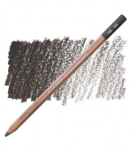 Карандаш Caran D'ache Pastel Pencil 495 Slate Gray