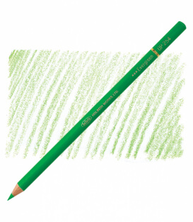 Карандаш Holbein Artists' Coloured Pencil OP254 Evergreen