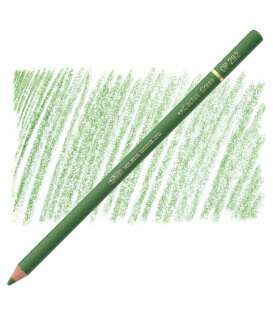 Карандаш Holbein Artists' Coloured Pencil OP292 Cactus Green