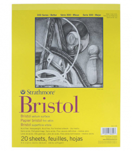 Альбом Strathmore Series 300 Bristol Vellum 9 × 12
